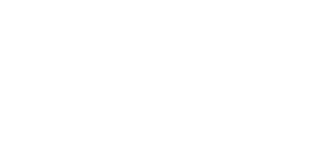 journaldunet logo